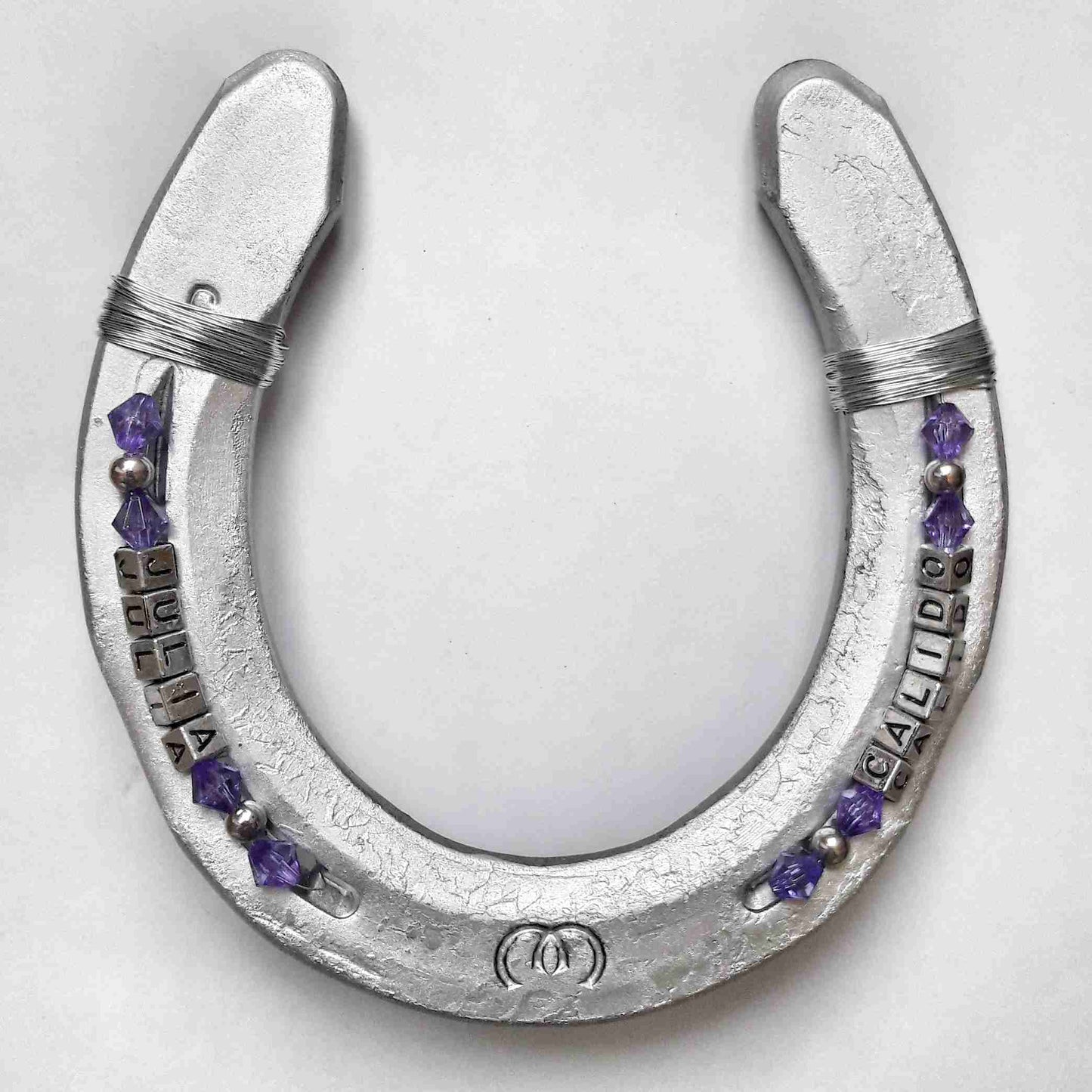 Lucky Horseshoe Silver-Purple