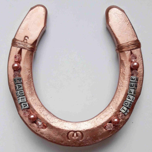 Lucky Horseshoe Copper-Silver-Pink